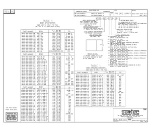 MHAT-100-TT-13.pdf