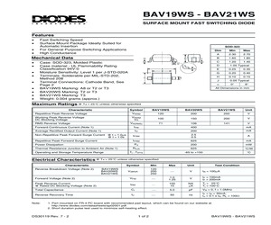 BAV19WS.pdf