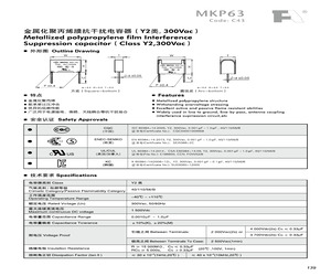 BK2W226M16025PA.pdf