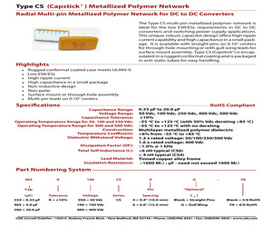 206K050CS4.pdf