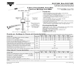 RGP10G.pdf