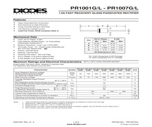 PR1005G-B.pdf