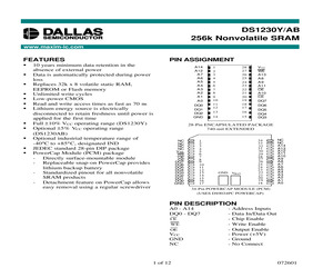 DS1230AB-100-IND.pdf
