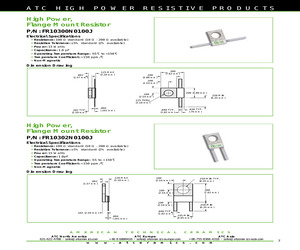 FR10300N0100J.pdf