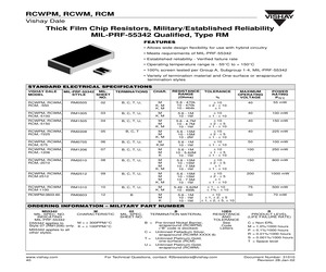 M55342M06B14E3P.pdf