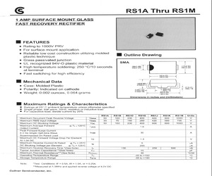 RS1J.pdf