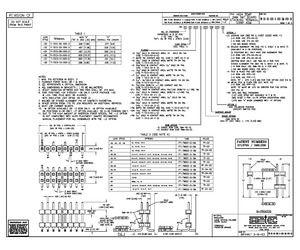 TW-06-09-G-D-200-SM.pdf