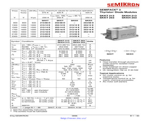 SKKT253/08E.pdf