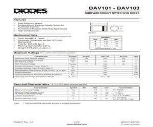 BAV102-7.pdf