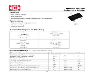 BAS40-06.pdf