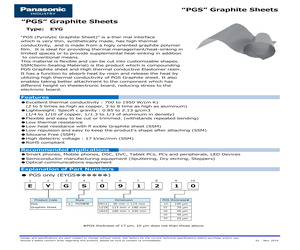 EYGS182307.pdf