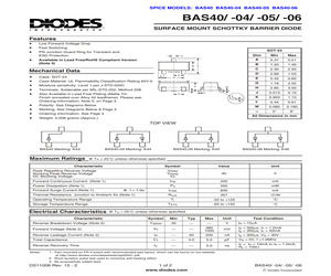 BAS40-04-13.pdf