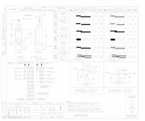 GSAC47C-6Q02.pdf