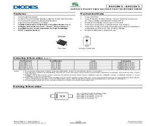 BAV19WS-7-F.pdf