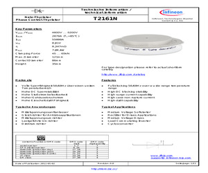 T2161N48K.pdf