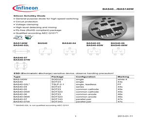 BAS40-06.pdf